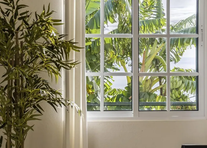 Sunny House By Homie Canhas