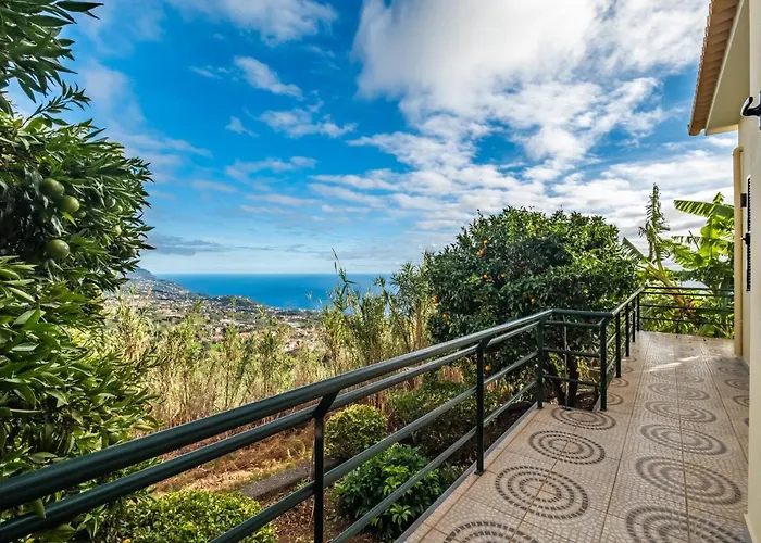 Sunny House By Homie