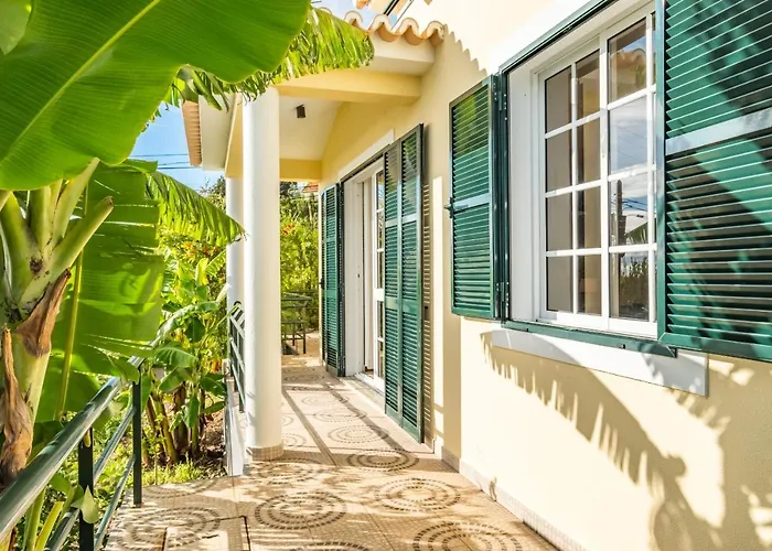 Sunny House By Homie *