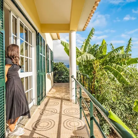 Sunny House By Homie