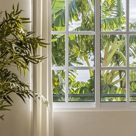 Sunny House By Homie Canhas