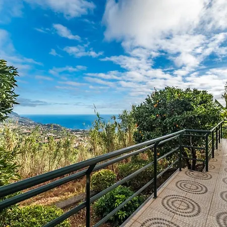 Sunny House By Homie