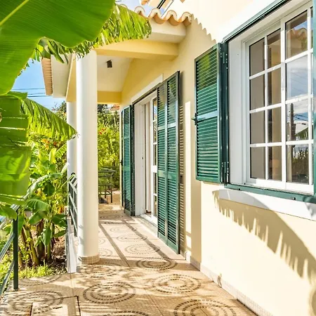 Sunny House By Homie *