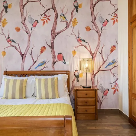 Sunny House By Homie * Canhas