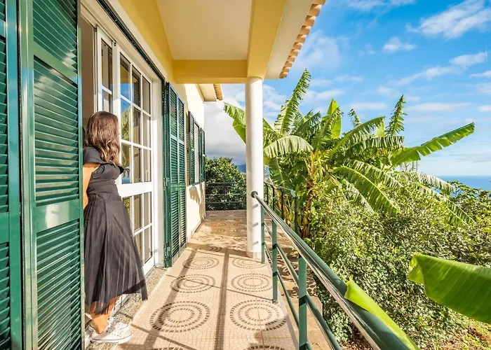 Sunny House By Homie